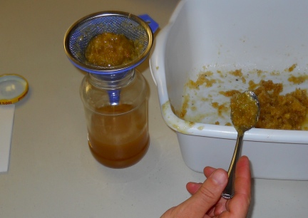 First Honey Harvest
