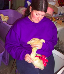 Chick Chick Goose